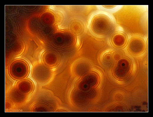 Atomes d'Energie, Molécules de Vie, Mondes Infinis.