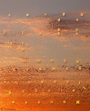 Mousse de Soleil dans l'Ecume du Sommeil, Flocons de Rêves.