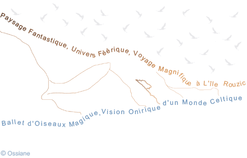 Bammet d'Oiseaux Magique, Vision Onirique d'un Monde Celtique.